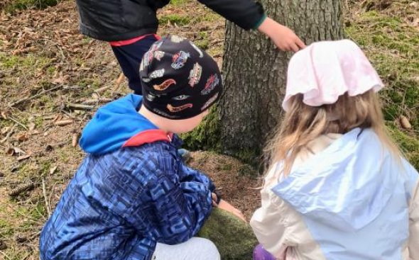 Obrázek galerie  20475