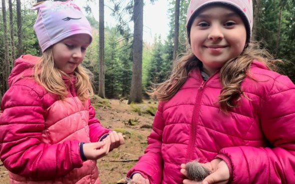 Obrázek galerie  20478