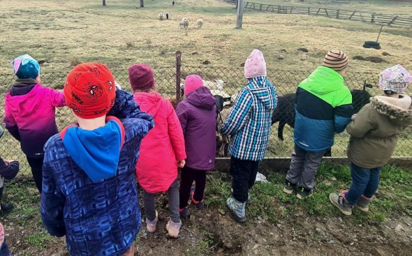 Obrázek galerie  20482