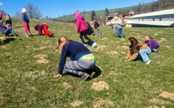 Obrázek galerie  20490