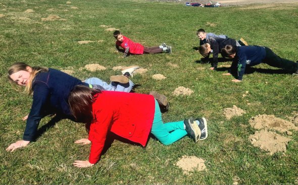 Obrázek galerie  20491