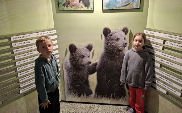 Obrázek galerie  20557
