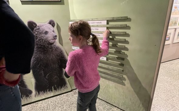 Obrázek galerie  20685