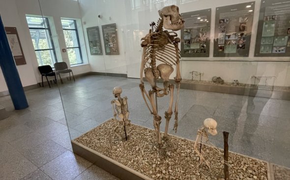Obrázek galerie  20719
