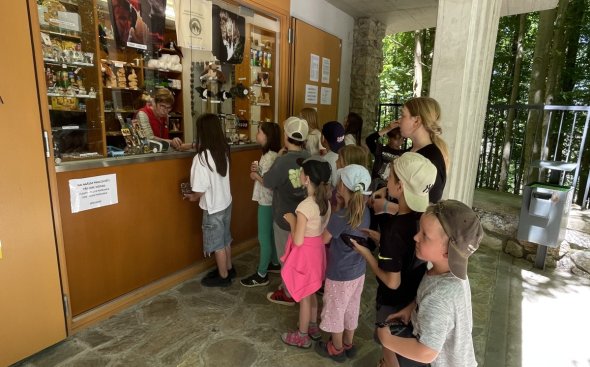 Obrázek galerie  21031