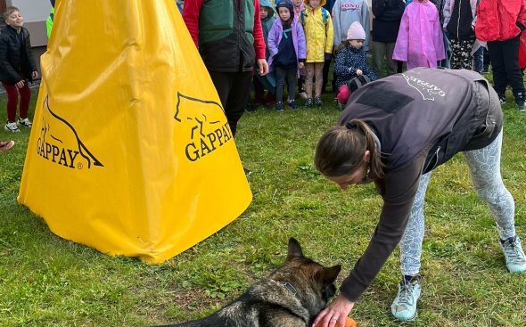 Obrázek galerie  21810